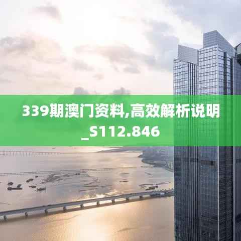 339期澳门资料,高效解析说明_S112.846