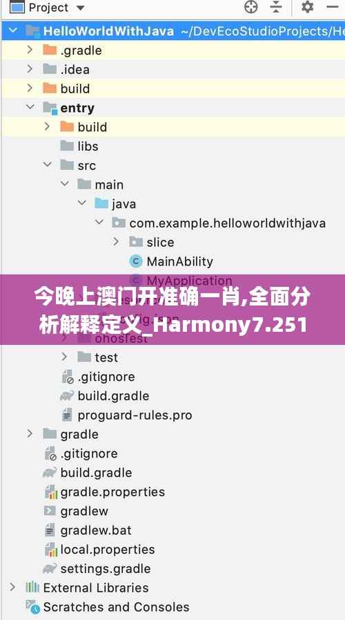 今晚上澳门开准确一肖,全面分析解释定义_Harmony7.251