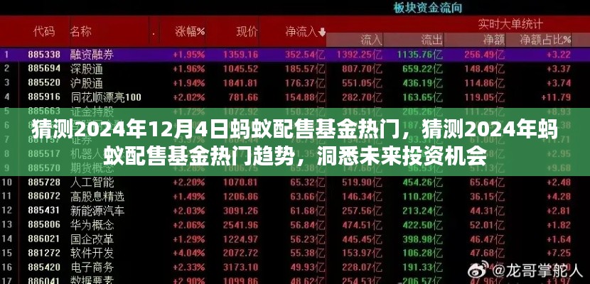 洞悉未来投资机会,蚂蚁配售基金热门趋势预测及分析(2024年12月4日)