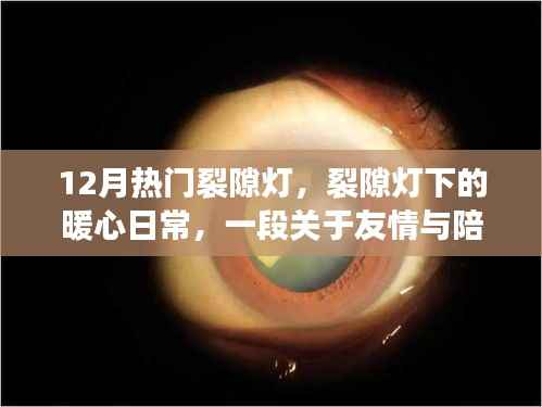 裂隙灯下的暖心日常,友情与陪伴的温馨故事
