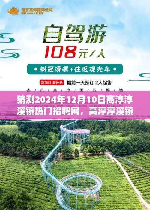 高淳淳溪镇热门招聘网引领招聘新纪元,科技与生活的无缝对接,未来版展望2024年12月10日