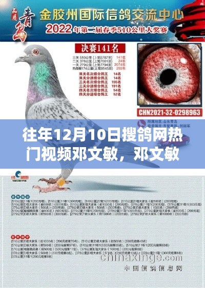 邓文敏,往年12月10日搜鸽网热门视频之星回顾