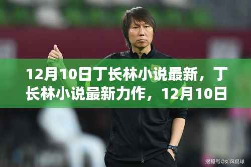 丁长林最新力作,探寻内心的桃花源——自然探秘之旅的启示