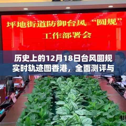 倦鸟思归 第3页