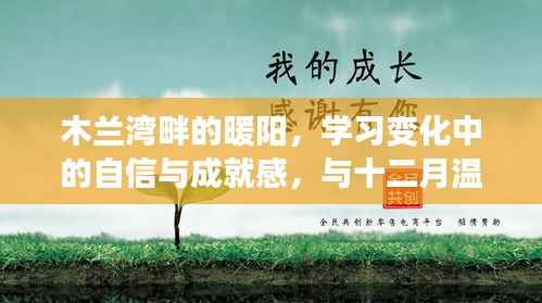 木兰湾畔暖阳下的学习之旅,自信与成就感的温暖相伴十二月