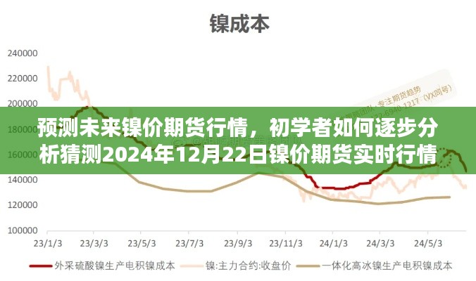 初学者指南,预测与逐步分析镍价期货行情,展望2024年年末镍价走势预测