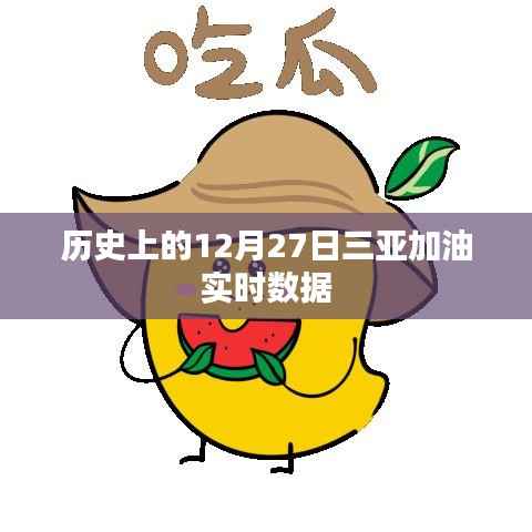 三亚加油实时数据,历史12月27日回顾