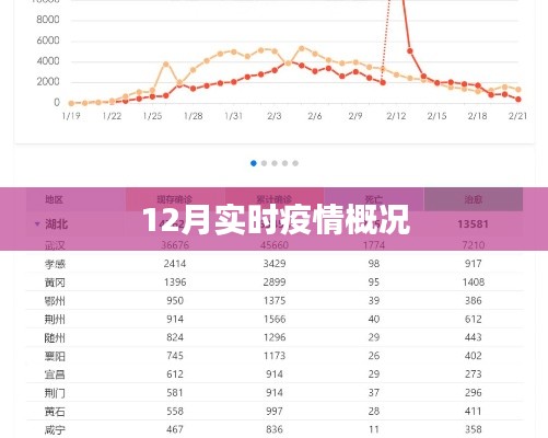 最新!全球疫情动态概览(12月实时更新)