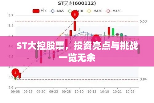 ST大控股票,投资亮点与挑战一览无余