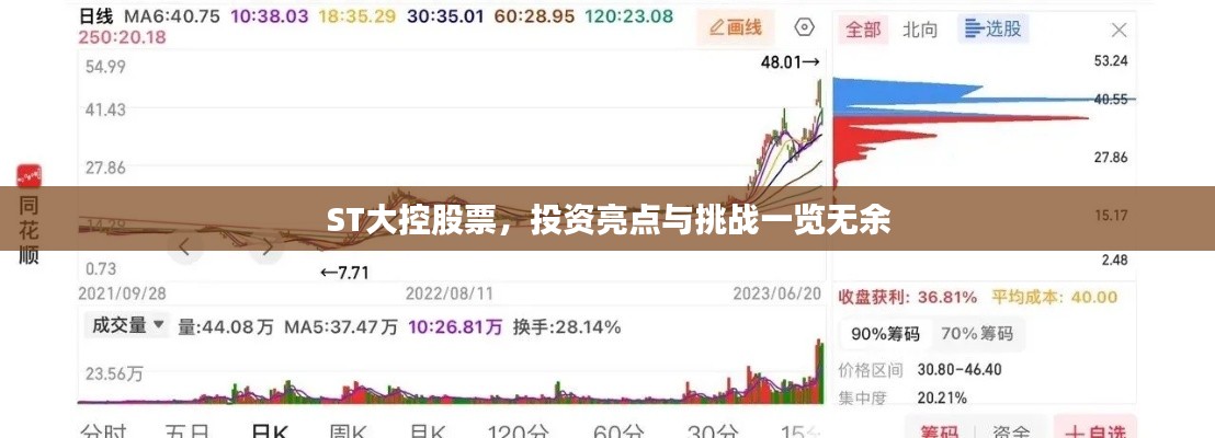 ST大控股票,投资亮点与挑战一览无余