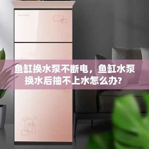 鱼缸换水泵不断电,鱼缸水泵换水后抽不上水怎么办?