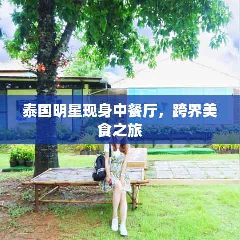 泰国明星现身中餐厅,跨界美食之旅